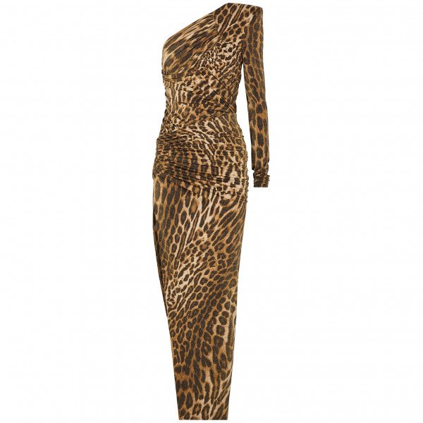 Alexandre Vauthier Leopard-Print One Shoulder Metallic Jersey Gown