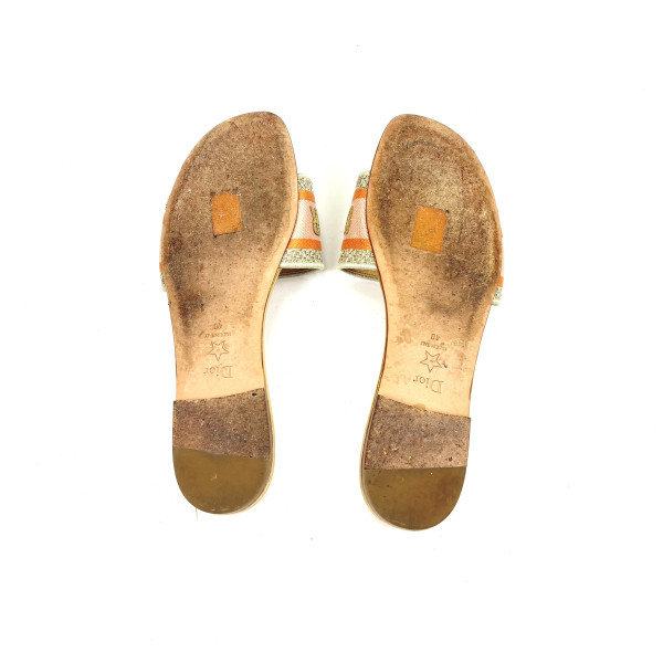 Dior Dway Slides – Gold & Blush Pink Embroidered Canvas