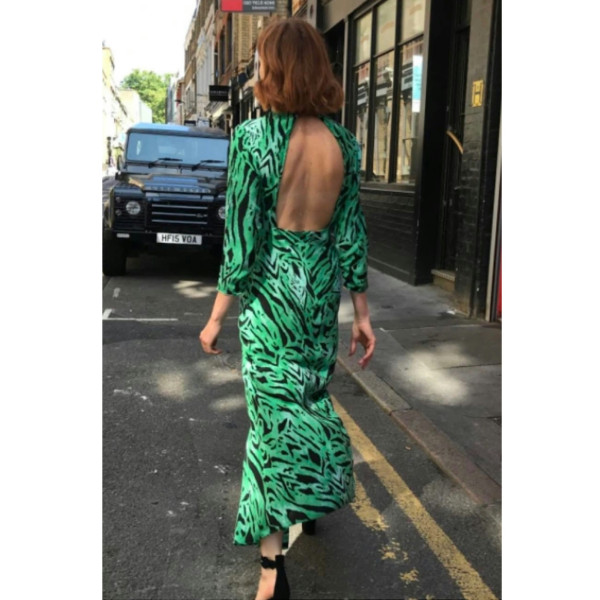 Rixo Rixo Lucy Green Tiger Stripe Dress