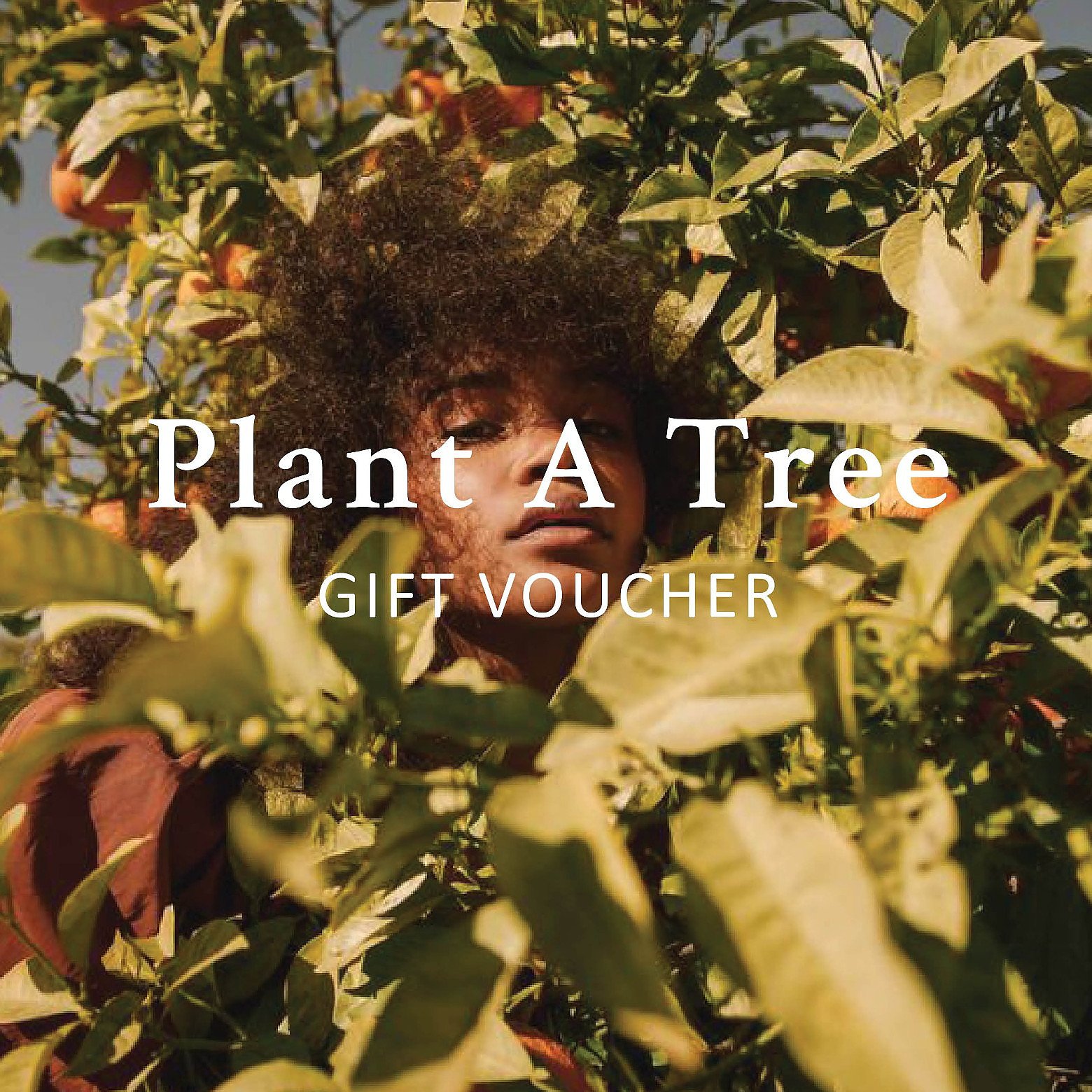 Voucher Plant a Tree Voucher