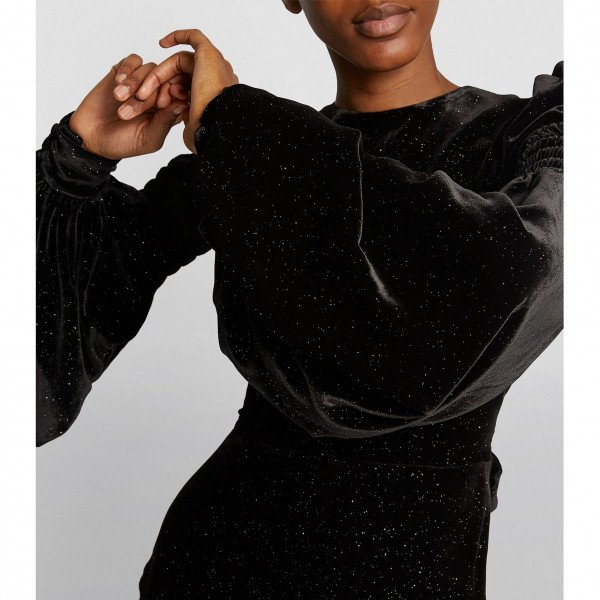 The Vampire's Wife Velvet Runway Dress