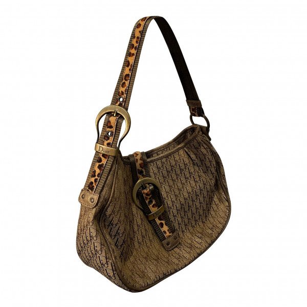 Dior Shoulder Bag With Leopard Print Accents