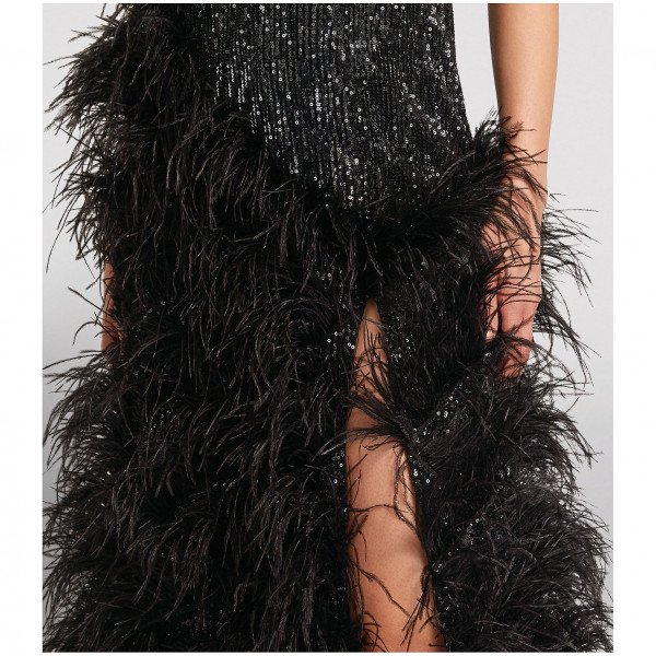 Huishan Zhang Grace Feather-Embellished Gown