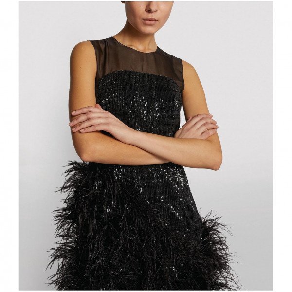 Huishan Zhang Grace Feather-Embellished Gown