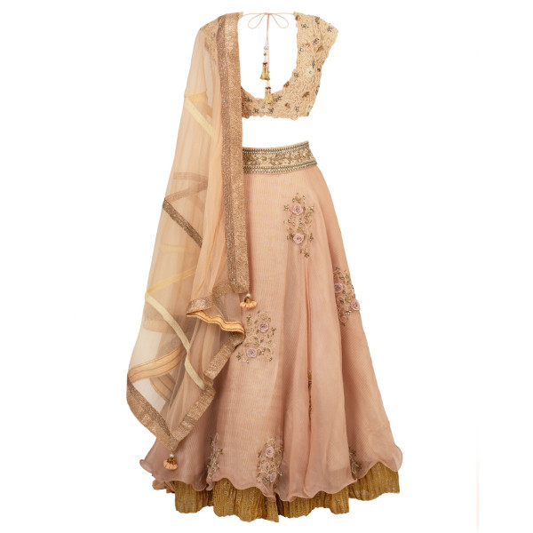 Amrika Rose pink organza lehenga