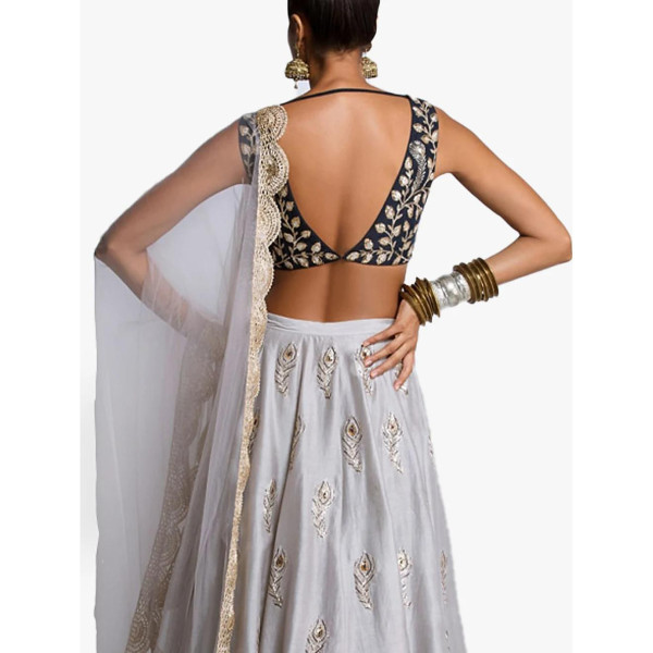 Amrika Embroidered Choli & Lehenga Set