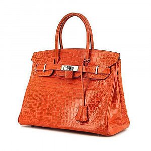 Snakeskin hotsell birkin bag