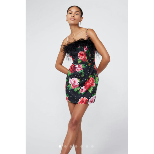 KITRI Kitri Red Painted Rose Mini Dress