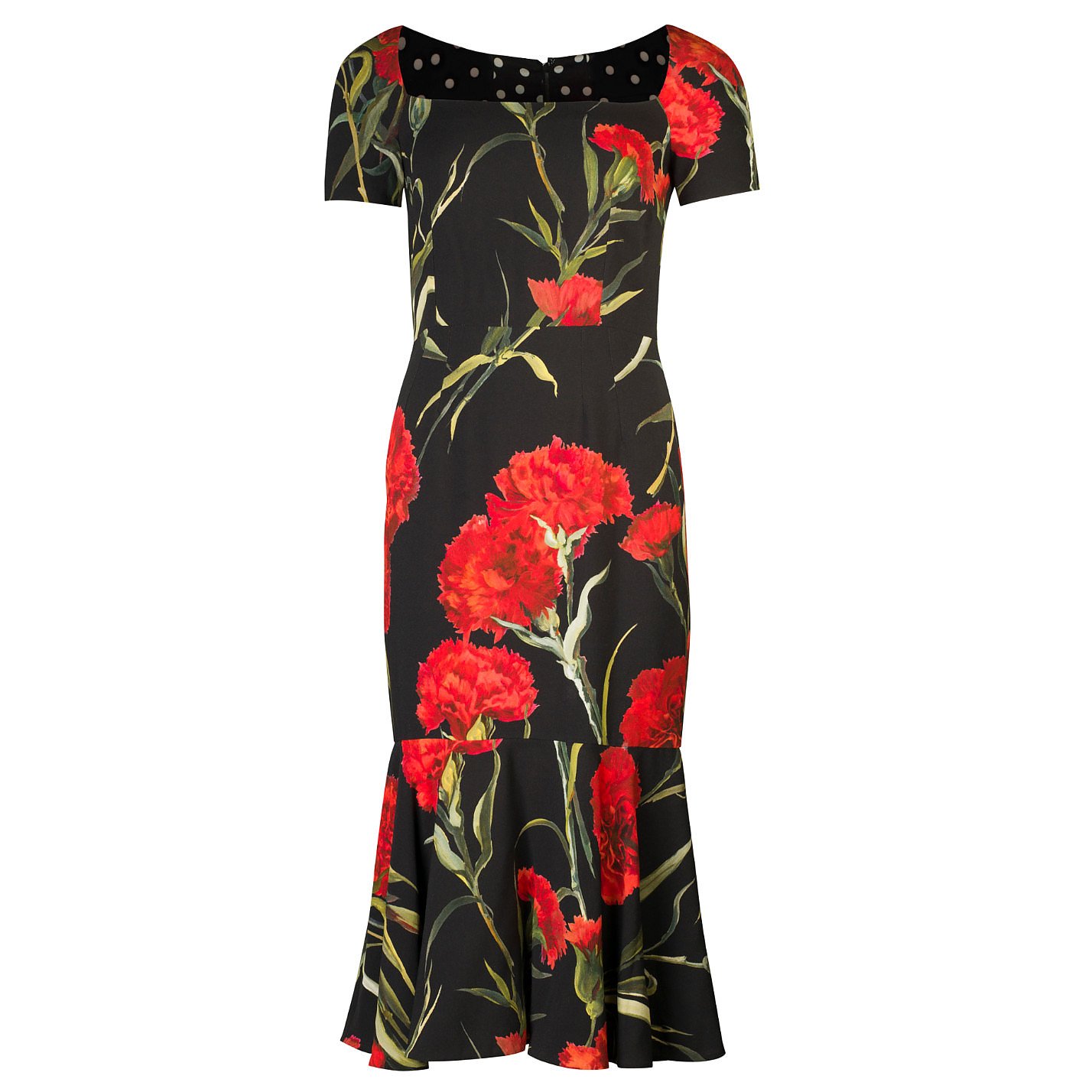 Rent or Buy DOLCE & GABBANA Carnation-Print Midi Dress from ...