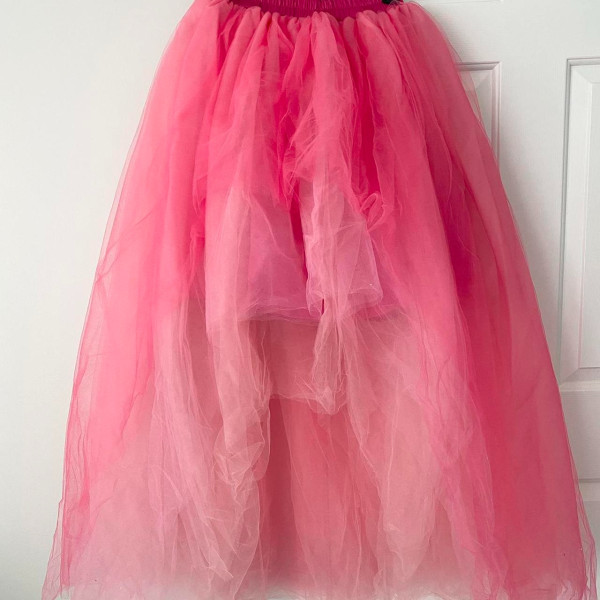 Hutch x Anthropology Tulle Skirt