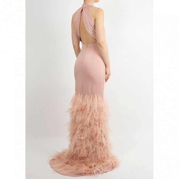 Terani Feathered Gown