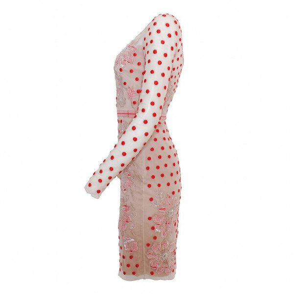 Temperley London Josette Embroidered Polka-Dot Tulle Dress