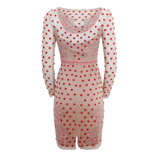 Temperley London Josette Embroidered Polka-Dot Tulle Dress