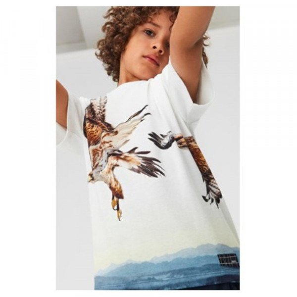 Molo Kids Raveno T-shirt in Bird Lift Off