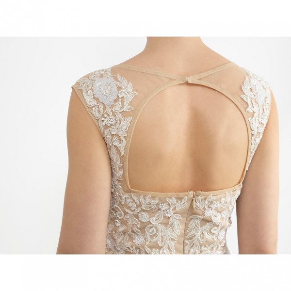 Dressology Embellished Dress