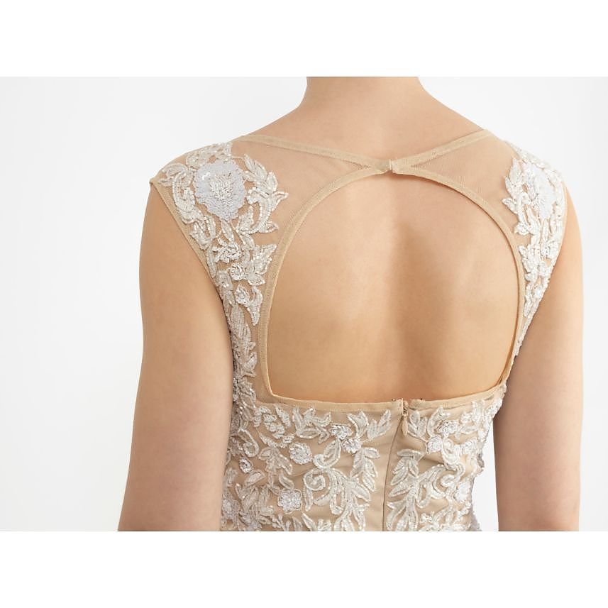 Dressology Embellished Dress