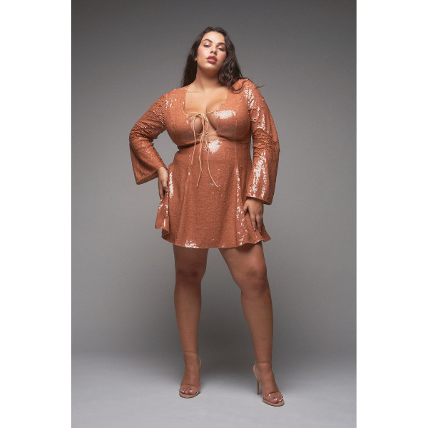 RaeVynn Harlow Dress In Caramel Sequins