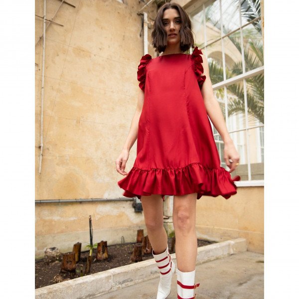 Lisou Darcy Ruffle Sleeve Dress