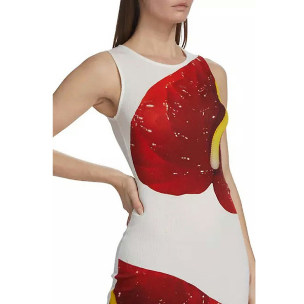 Loewe Loewe Ribbed Anthurium Dress