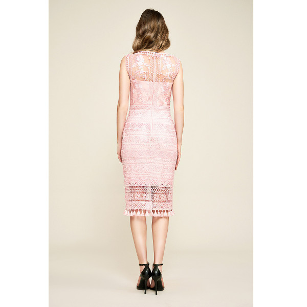 Tadashi Shoji Moanna Lace Embroidered Dress