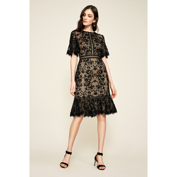 Tadashi Shoji Mirabelle Embroidered Dress