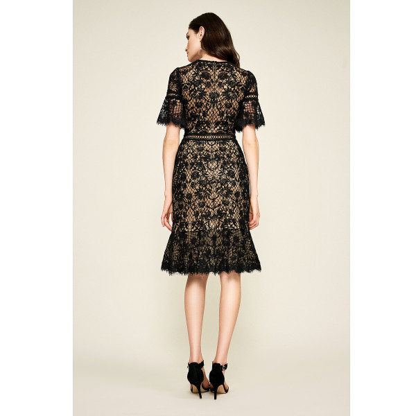 Tadashi Shoji Mirabelle Embroidered Dress