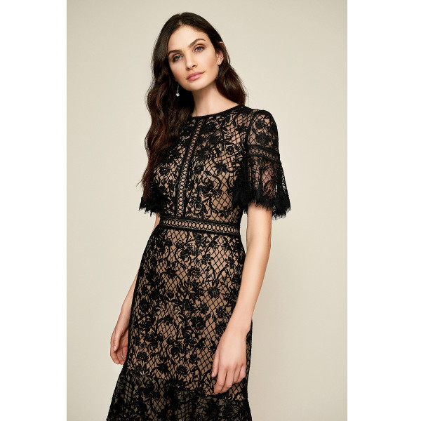 Tadashi Shoji Mirabelle Embroidered Dress