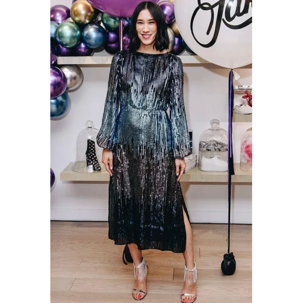 Rixo coco ombre sequin dress top